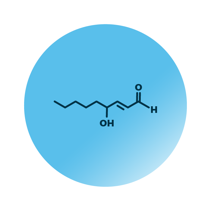 An example for the molecular structure of oxiFAL 4-HNE.