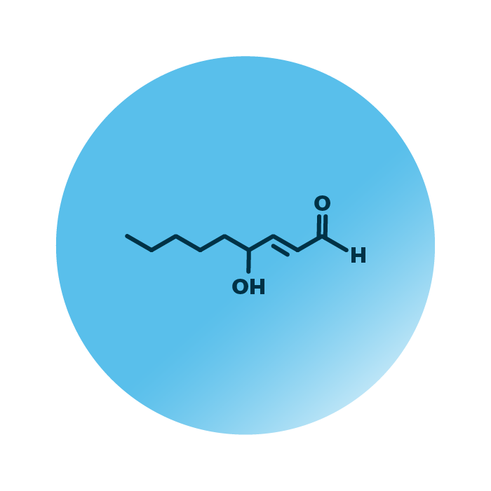 An example for the molecular structure of oxiFAL 4-HNE.