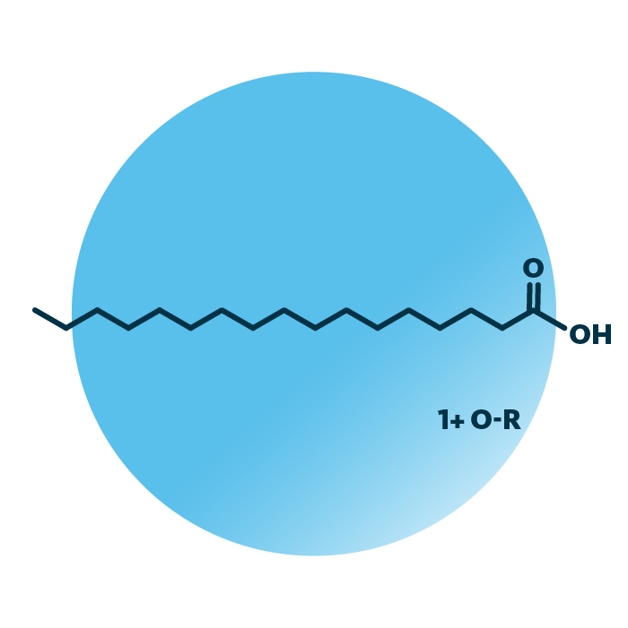 General molecular structure of the lipid group heptadecanoids.