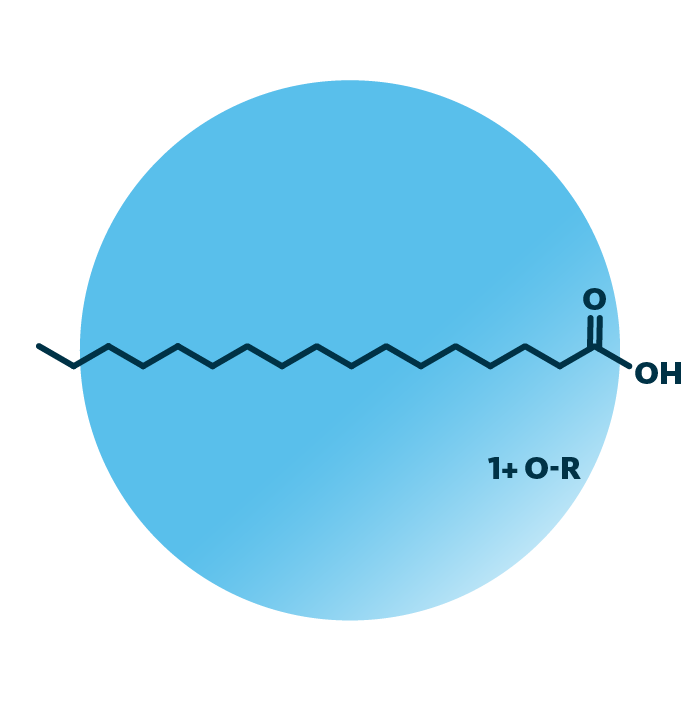 General molecular structure of the lipid group heptadecanoids.