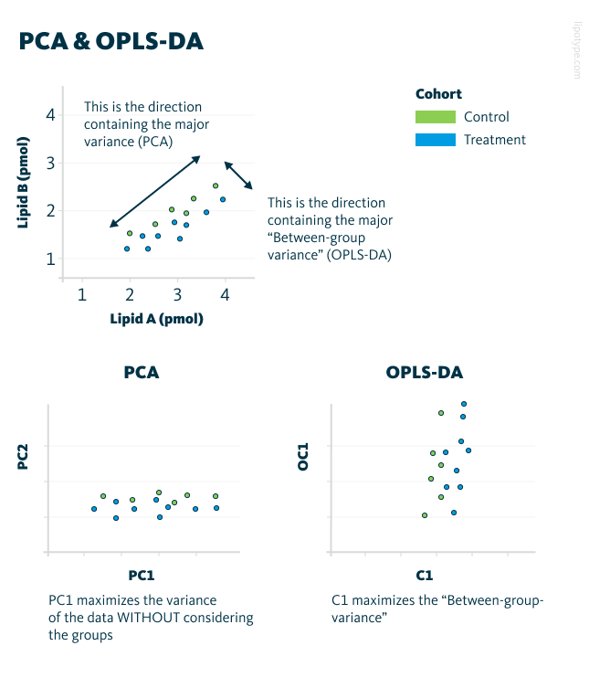 Visualization of the differences between PCA and OPLS-DA. PC – principle component; OC – orthogonal component.
