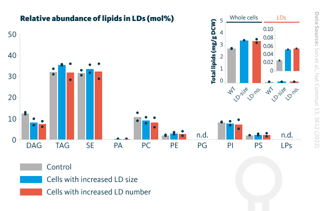 Lipid profiles of lipid droplets in various yeast cells. Lipid profiles of the engineered yeast cells revealed that total lipid and lipid droplet lipid levels in cells with increased lipid droplet size and cells with increased lipid droplet number were slightly elevated compared to control cells. Lipid droplet lipid composition in these cells and total lipid levels were similar. The relative enrichment of lipids in lipid droplets in these engineered cells is illustrated in mol %. DAG, diacylglycerol; TAG, triacylglycerol; SE, sterol ester; PA, phosphatidic acid; PC, phosphatidylcholine; PE, phosphatidylethanolamine; PG, phosphatidylglycerol; PI, phosphatidylinositol; PS, phosphatidylserine; LPs, lysophospholipids; DCW, dry cell weight.