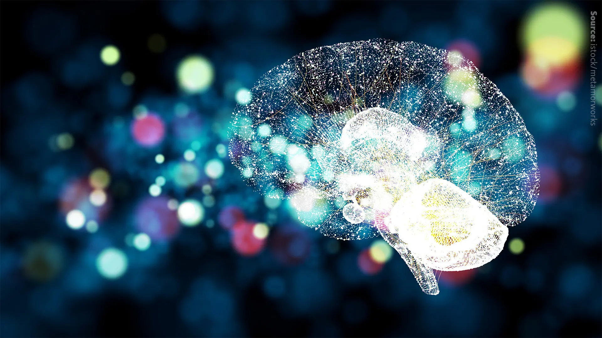 Lipidomics and lipids in neuroscience