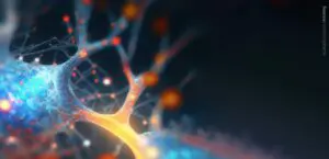 Lipidomics of the central nervous system.