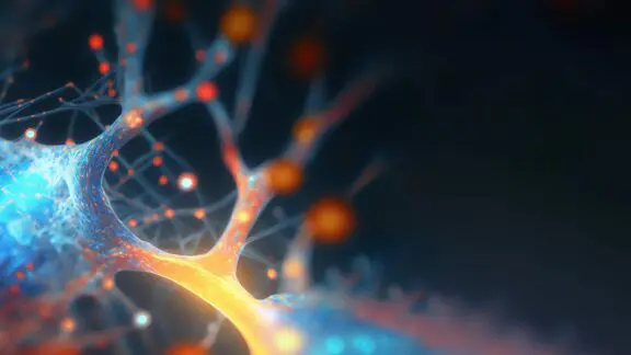 Lipidomics of the central nervous system.