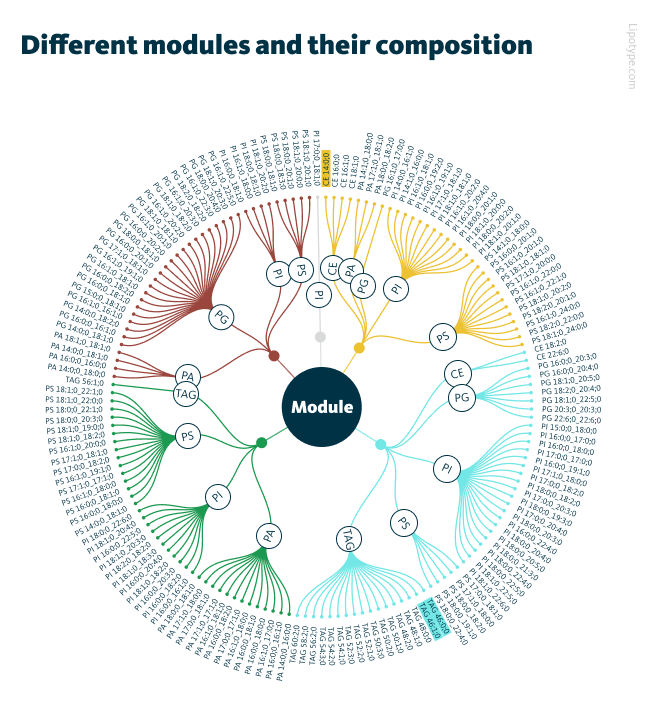 The figure shows the different modules and their composition.