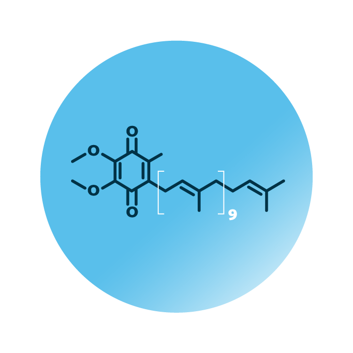 The molecular structure of Coenzyme Q10 (CoQ10), a lipid that is highly enriched in Korean kimchi.