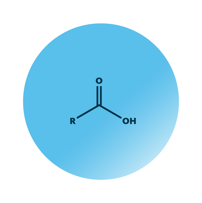 The molecular structure of Coenzyme Q10 (CoQ10), a lipid that is highly enriched in Korean kimchi.