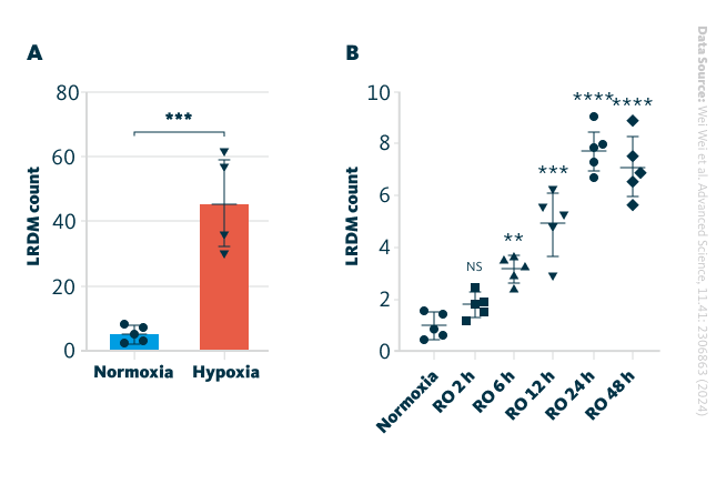 Lipid droplet-rich microglia (LDRM) accumulation in hypoxia. A Bar graph showing the increased amount of LDRM in hypoxia conditions in cultured microglia. B The boxplot shows the increase in LDRM for different durations of hypoxia conditions. The longer the microglia are exposed, the more LDRM are forming, peaking at 24 h.