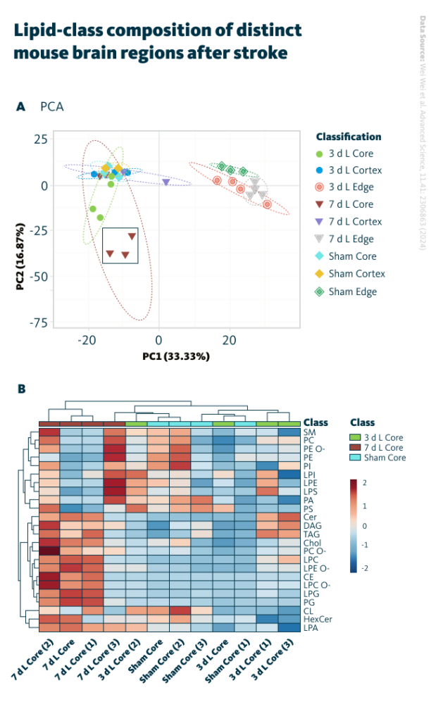 Lipid-class composition of distinct mouse brain regions after stroke. A Principal component analysis (PCA) of lipid composition patterns in different regions of brains (sham, post-ischemia days 3 and 7). B Heatmap of core regions representing color-coded Z scores of lipid-class distributions of the 24 most abundant lipid classes using the lipid species concentrations (pmol) with log2 normalization.