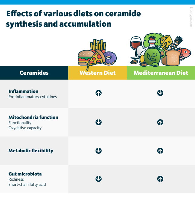 Effects of various diets on ceramide synthesis and accumulation.
