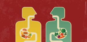 The role of sphingolipids in mitochondrial damage and obesity. Metabolic damage caused by obesity can be limited by targeting a sphingolipid metabolism enzyme.