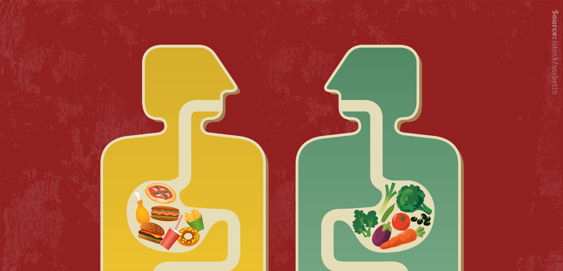 The role of sphingolipids in mitochondrial damage and obesity