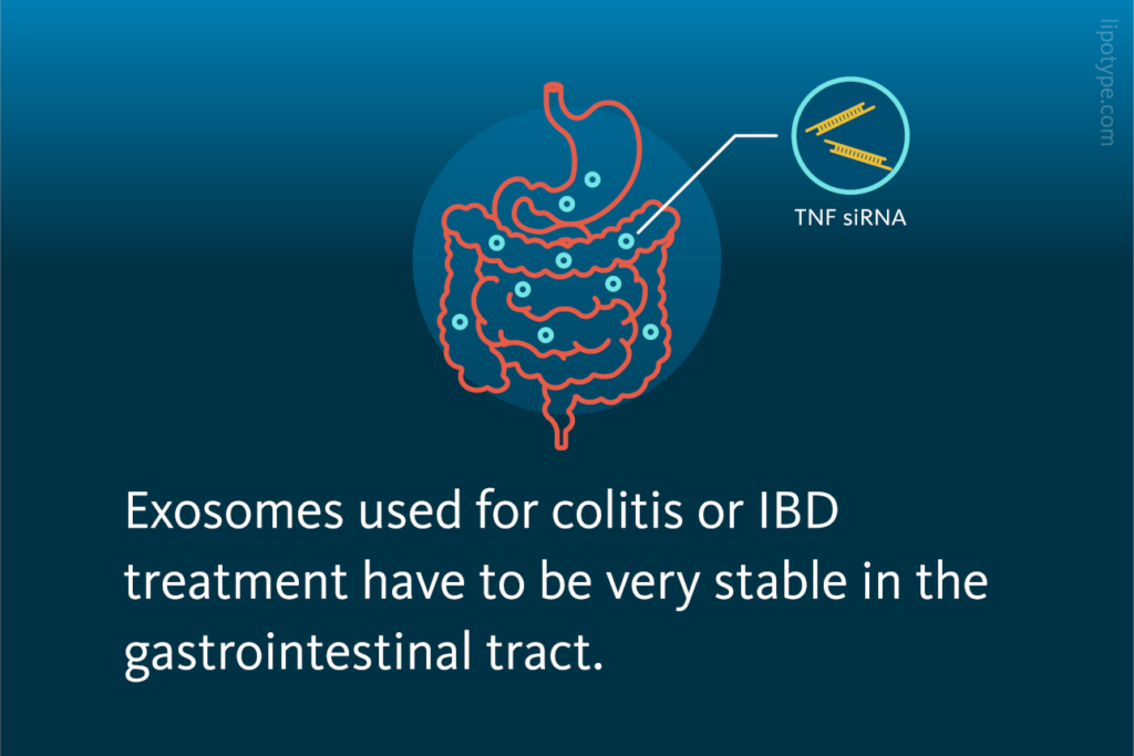 Exosomes used for colitis or IBD treatment have to be very stable in the gastrointestinal tract.