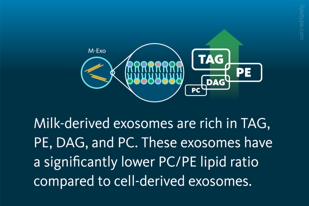 Milk-derived exosomes are rich in TAG, PE, DAG, and PC. These exosomes have a significantly lower PC/PE lipid ratio compared to cell-derived exosomes.