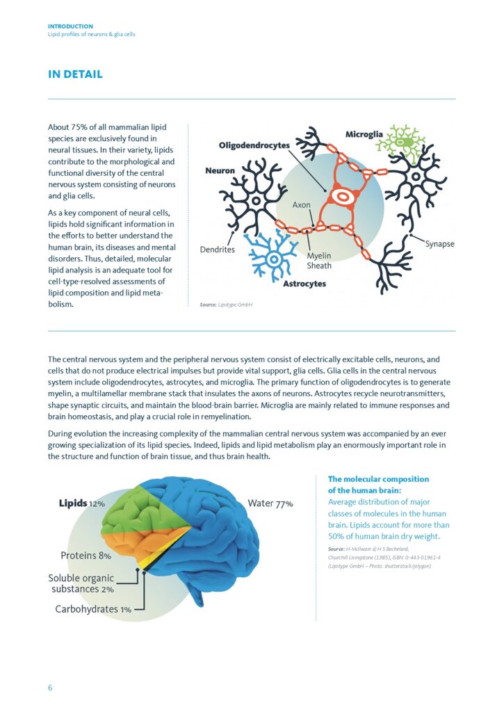 Neuroscience Lipidomics - page 06