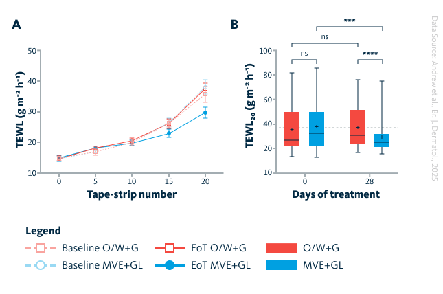 Transepidermal water loss (TEWL) changes upon MVE+GL skin treatment.