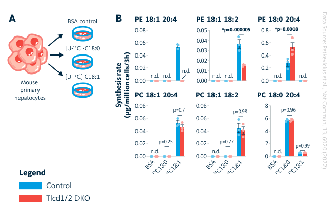 Tlcd1/2 facilitate MUFA incorporation into phosphatidylethanolamine in mouse primary hepatocytes.
