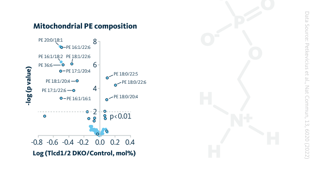 Tlcd1/2 shape mitochondrial PE composition.