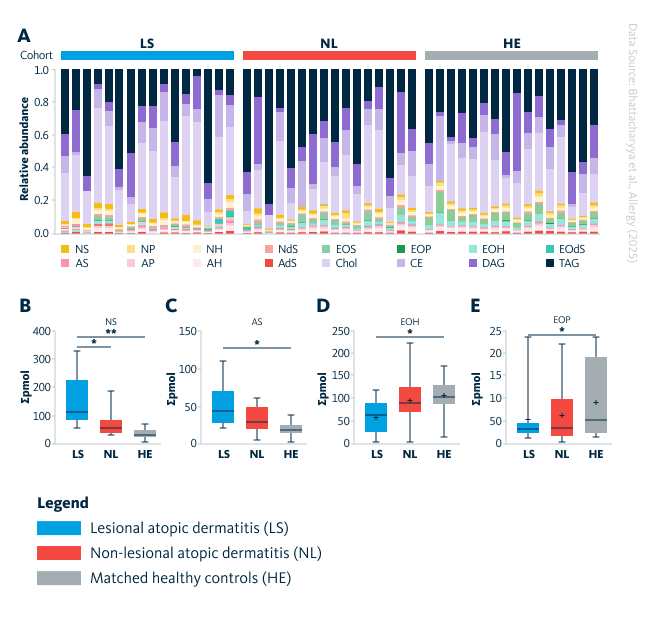 Bhattacharyya et al., Allergy, 2025, 0:1-14, 10.1111/all.70028 Overview of lipid profiles in lesional atopic dermatitis (LS), non-lesional skin (NL), and site-matched healthy controls (HE). A Overall lipid class distribution is shown as percentage for each group. B-E Box plots display four lipid classes that differed significantly across groups (NS, AS, EOH, and EOP). *, p-value < 0.05; **, p-value < 0.01. AdS, alpha-hydroxy-dehydrosphingosine; AS, α-hydroxy-sphingosine; AH, α-hydroxy-6-hydroxysphingosine; AP, α-hydroxy-phytosphingosine; CE, cholesteryl esters; Chol, cholesterol; DAG, diacylglycerols; EOdS, ω-hydroxy-dehydrosphingosine; EOH, ω-hydroxy-6-hydroxysphingosine; EOP, ω-hydroxy-phytosphingosine; EOS, ω-hydroxy-sphingosine; NdS, non-hydroxy-dehydrosphingosine; NH, non-hydroxy-6-hydroxysphingosine; NP, non-hydroxy-phytosphingosine; NS, non-hydroxy-sphingosine; TAG, triacylglycerols. 