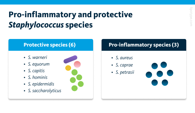 Pro-inflammatory and protective Staphylococcus species