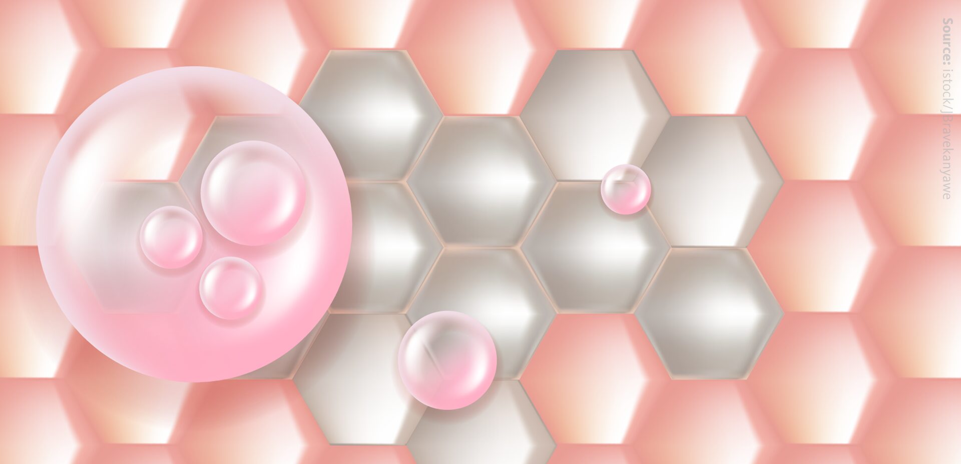 The role of the skin microbiome in modulating lipid profiles and inflammation in atopic dermatitis