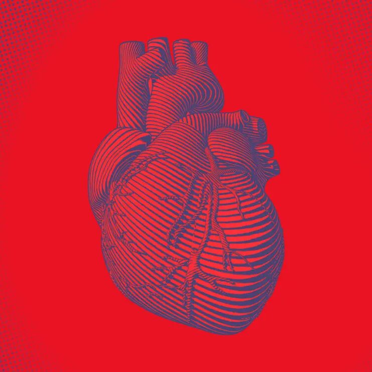 The molecular structure of Coenzyme Q10 (CoQ10), a lipid that is highly enriched in Korean kimchi. Red Heart